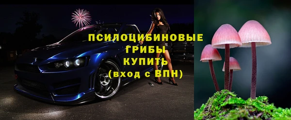 прущие крисы Белоозёрский